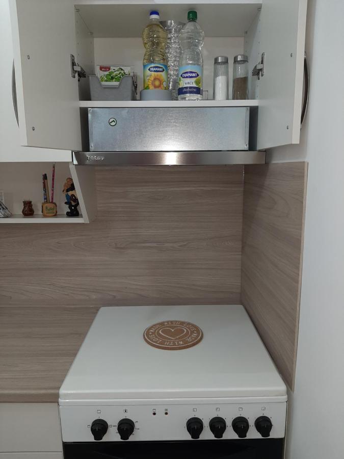 Apartman Viaggio Sremska Mitrovica Eksteriør billede